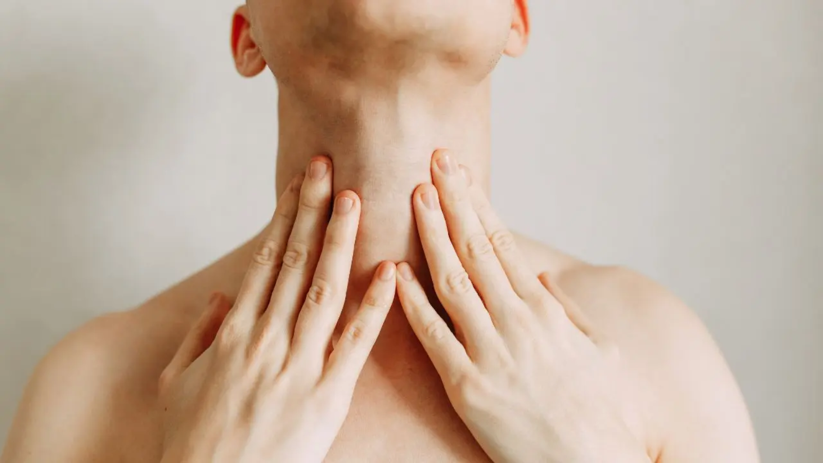 Las paratiroides secretan la hormona PRH, que regula los niveles de calcio en el cuerpo humano